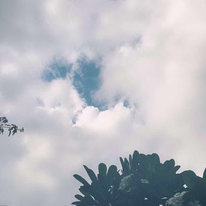 日韩美女性爱xx视频
