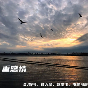 日韩美女性爱xx视频
