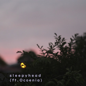 日韩美女性爱xx视频
