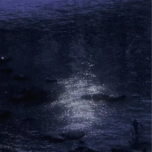 日韩美女性爱xx视频
