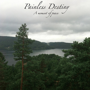 日韩美女性爱xx视频
